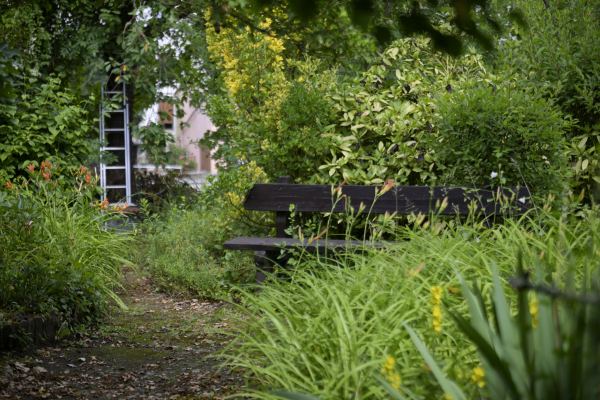 Un banc dans la verdure, au fond du jardin