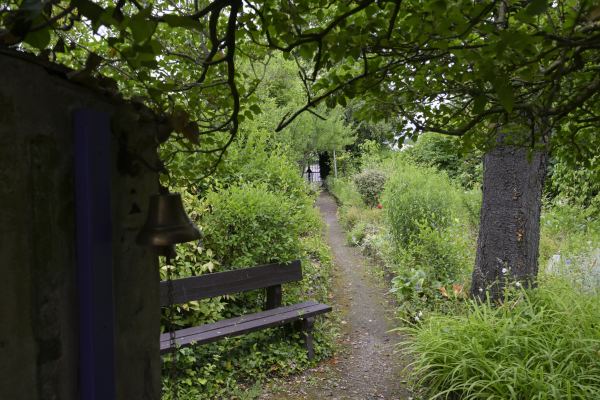 Un banc de bois au bord d'un sentier du jardin